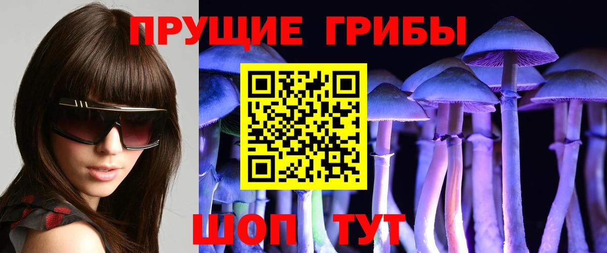 Галлюциногенные грибы прущие грибы  Вход с VPN  Псилоцибиновые грибы мухоморы  Михайловск 